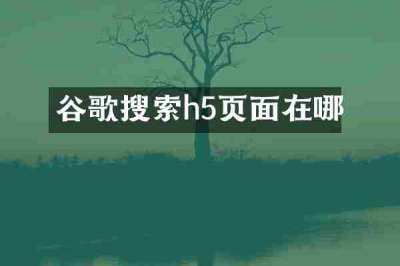 谷歌搜索h5页面在哪