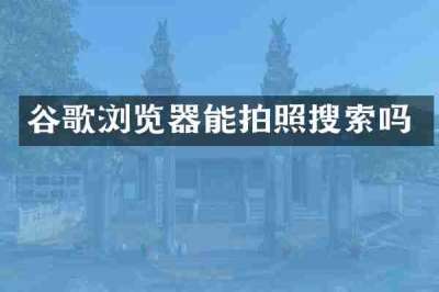 谷歌浏览器能拍照搜索吗