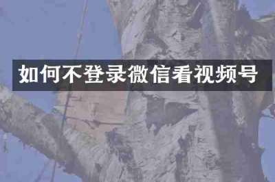 如何不登录微信看视频号