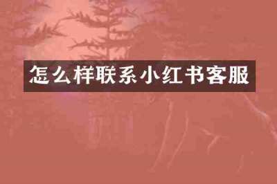 怎么样联系小红书客服