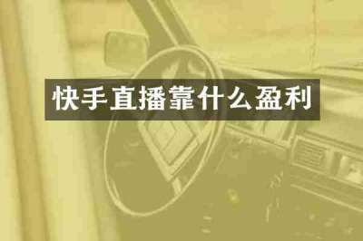 快手直播靠什么盈利
