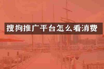 搜狗推广平台怎么看消费