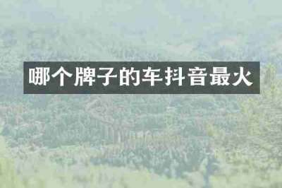 哪个牌子的车抖音最火