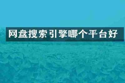 网盘搜索引擎哪个平台好