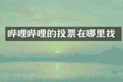 哔哩哔哩的投票在哪里找