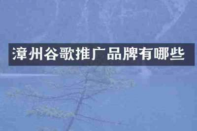 漳州谷歌推广品牌有哪些