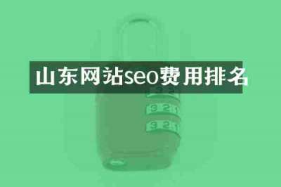 山东网站seo费用排名