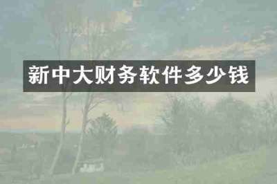 新中大财务软件多少钱