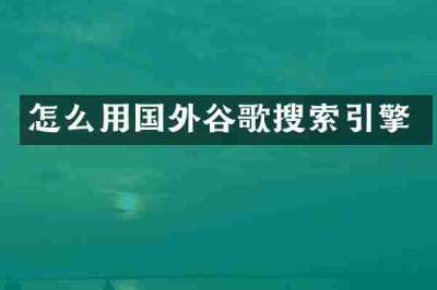 怎么用国外谷歌搜索引擎