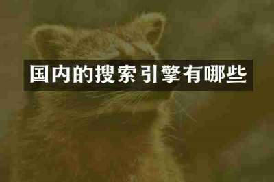 国内的搜索引擎有哪些