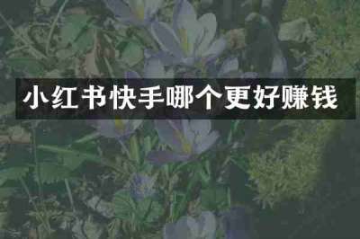 小红书快手哪个更好赚钱