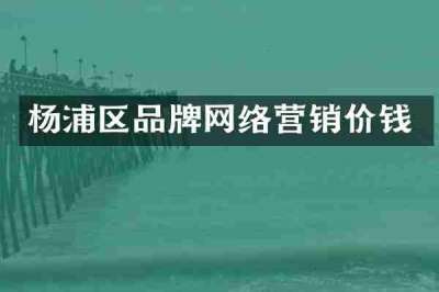 杨浦区品牌网络营销价钱