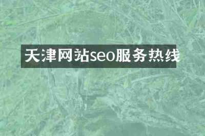 天津网站seo服务热线