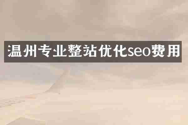 温州专业整站优化seo费用