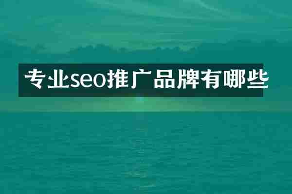 专业seo推广品牌有哪些