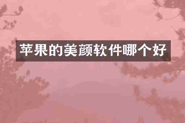 苹果的美颜软件哪个好