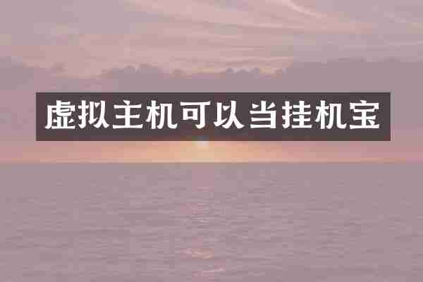 虚拟主机可以当挂机宝