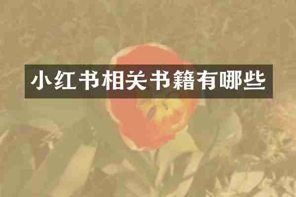 小红书相关书籍有哪些