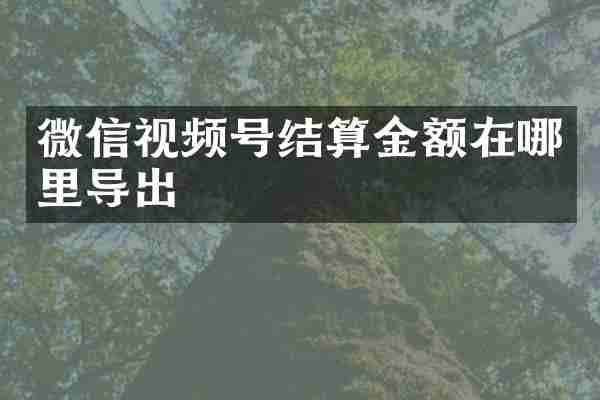 微信视频号结算金额在哪里导出