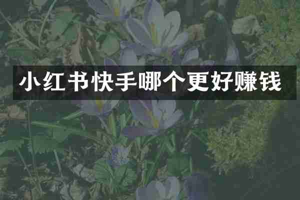 小红书快手哪个更好赚钱