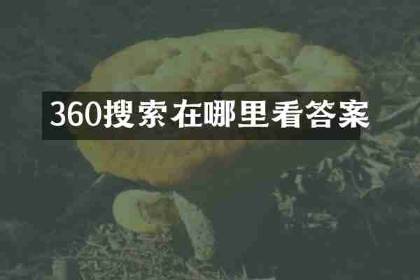 360搜索在哪里看答案