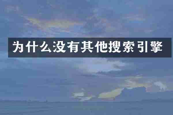 为什么没有其他搜索引擎