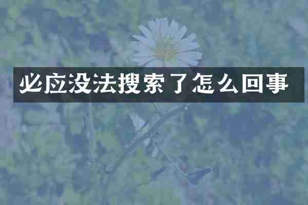 必应没法搜索了怎么回事