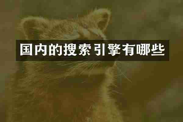 国内的搜索引擎有哪些