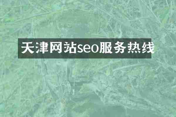 天津网站seo服务热线