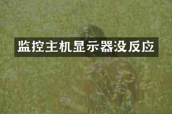 监控主机显示器没反应