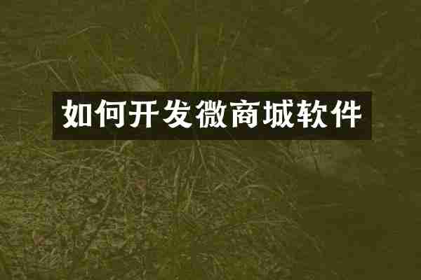 如何开发城软件