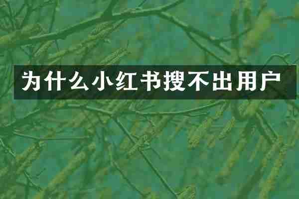 为什么小红书搜不出用户