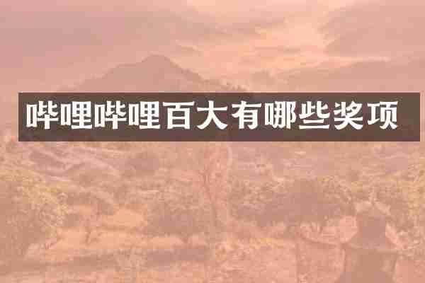 哔哩哔哩百大有哪些奖项