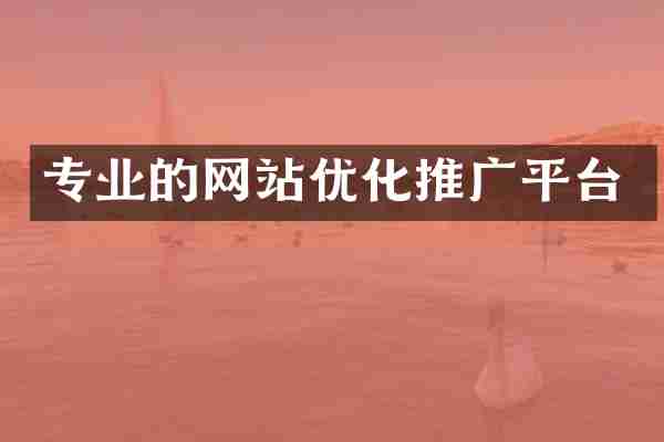 专业的网站优化推广平台
