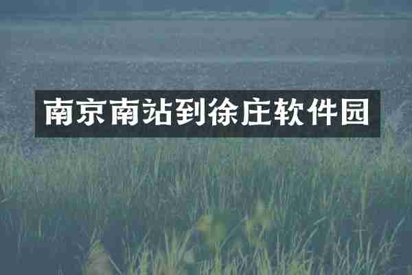 南京南站到徐庄软件园