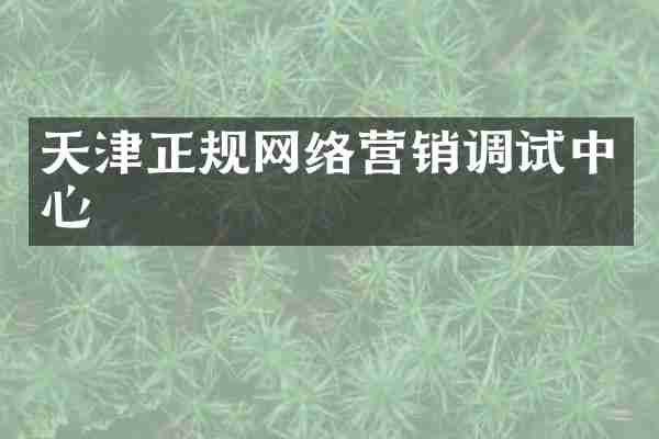 天津正规网络营销调试中心