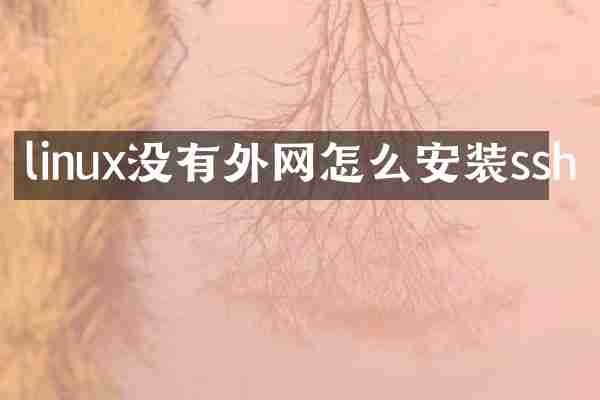 linux没有外网怎么安装ssh