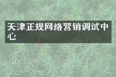 天津正规网络营销调试中心