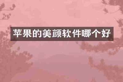 苹果的美颜软件哪个好