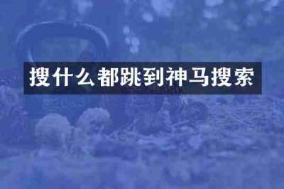 搜什么都跳到神马搜索
