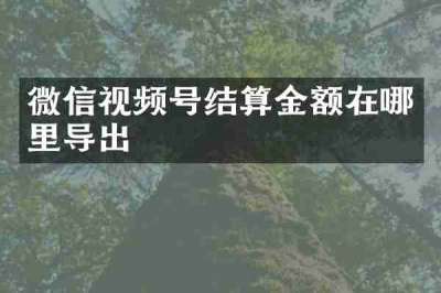 微信视频号结算金额在哪里导出