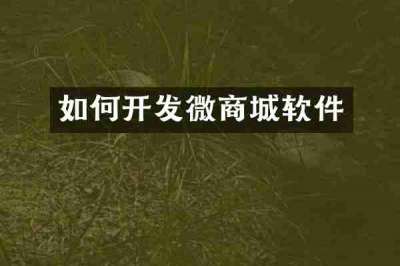 如何开发微商城软件