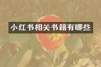 小红书相关书籍有哪些