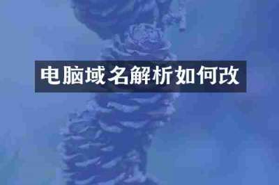 电脑域名解析如何改