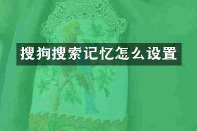 搜狗搜索记忆怎么设置