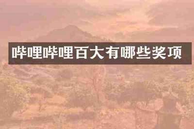 哔哩哔哩百大有哪些奖项
