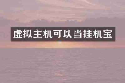 虚拟主机可以当挂机宝
