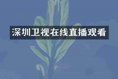 深圳卫视在线直播观看