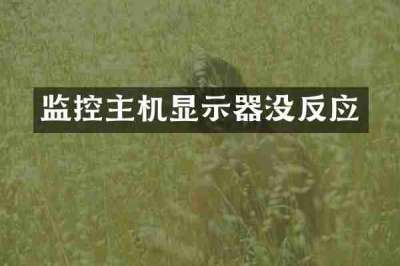 监控主机显示器没反应