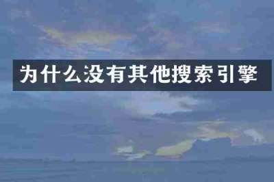 为什么没有其他搜索引擎